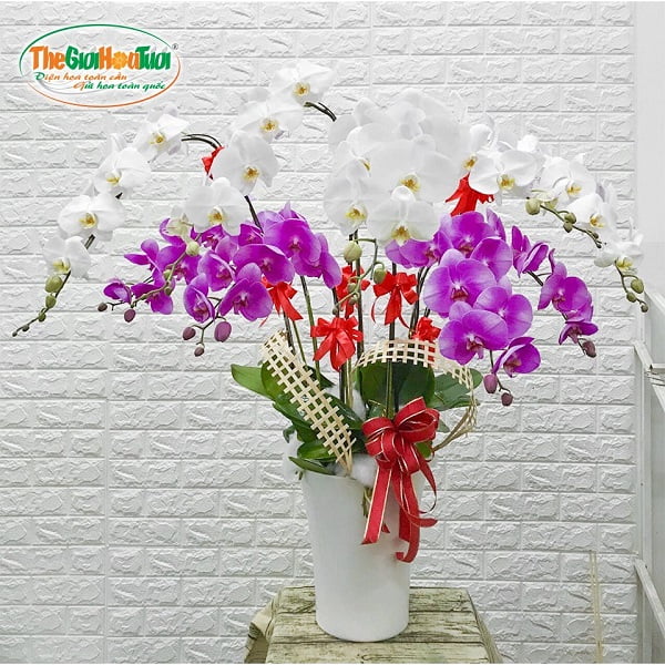 BÌNH HOA LAN 9 CÂY PHÁT LỘC