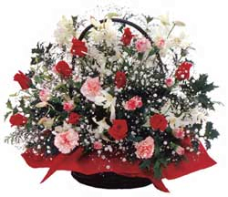 Hoa tươi Japan-01 Arrangement for Christmas