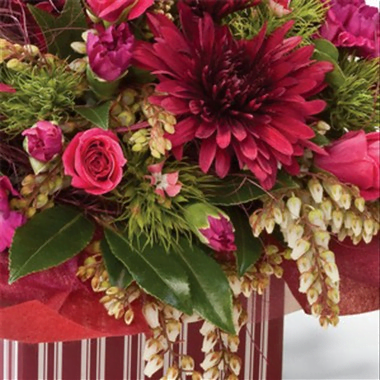 Hoa tươi New-Zealand-10 Arrangement of Cut Flowers