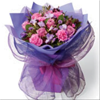 Hoa tươi New-Zealand-40 Mauve Magic