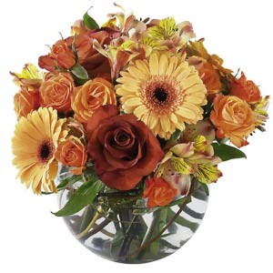 Gửi Hoa tươi đến Hàn Quốc Hoa tươi Korea-08 Bouquet of Mixed Cut Flowers Lưu ý: Hoa tươi dành riêng cho thị trường Hàn Quốc Xem thêm danh mục hoa dành riêng cho thị trường Hàn Quốc: Hàn Quốc