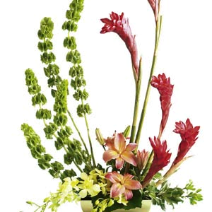 Gửi Hoa tươi đến Hàn Quốc Korea-12 Tropical Arrangement Lưu ý: Hoa tươi dành riêng cho thị trường Hàn Quốc Xem thêm danh mục hoa dành riêng cho thị trường Hàn Quốc: Hàn Quốc