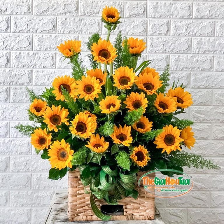 Giỏ hoa hướng dương-Ánh nắng mặt trời