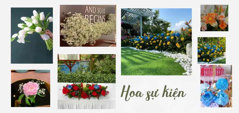 hoa sự kiện