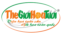 Công ty CP Thế Giới Hoa Tươi